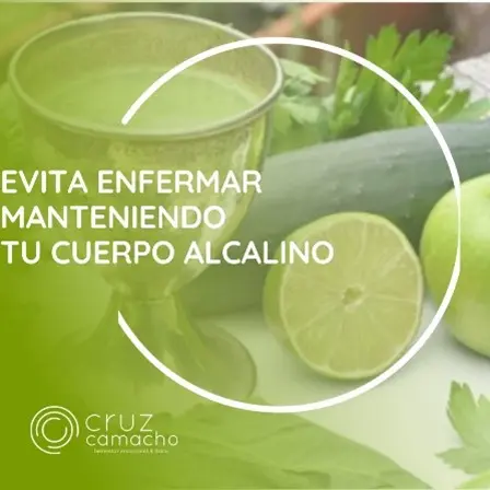 Vida alcalina
